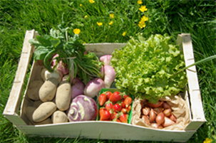 panier de légumes